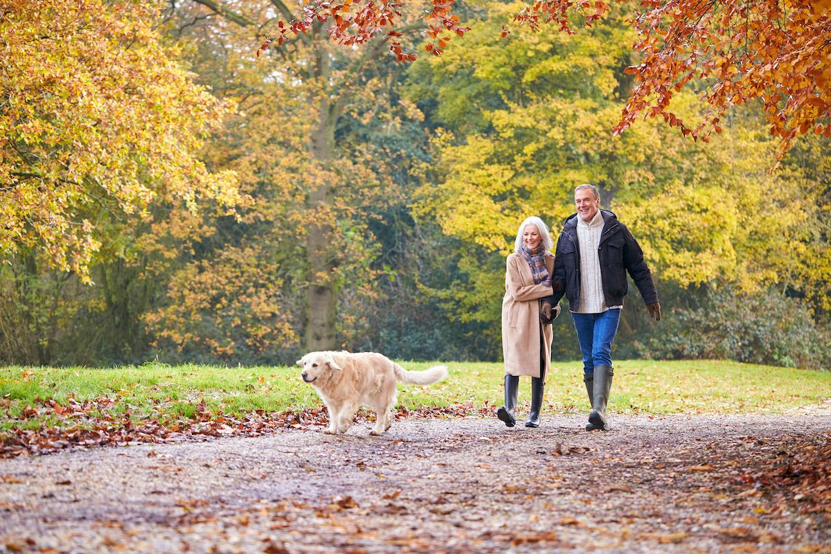 Finanziell frei durch den Wald spazieren